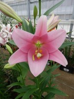 [5598 VH28 No02.JPG]